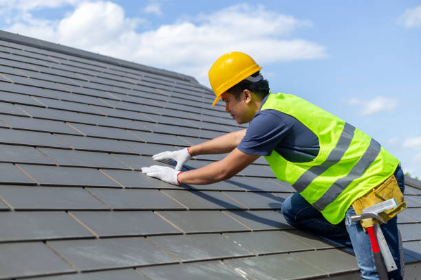 Quick and Trustworthy Emergency Roof Repair Services in Fridley, MN