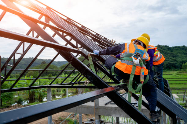 Professional Roofing Contractor in Fridley, MN