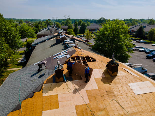 Best Roof Maintenance Services  in Fridley, MN